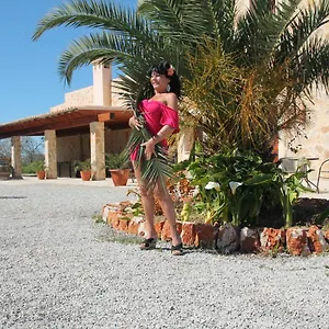 https://hotel-ollymar-swinger-friendly.balearic-islands.net